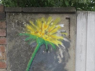 Dandelion graffiti