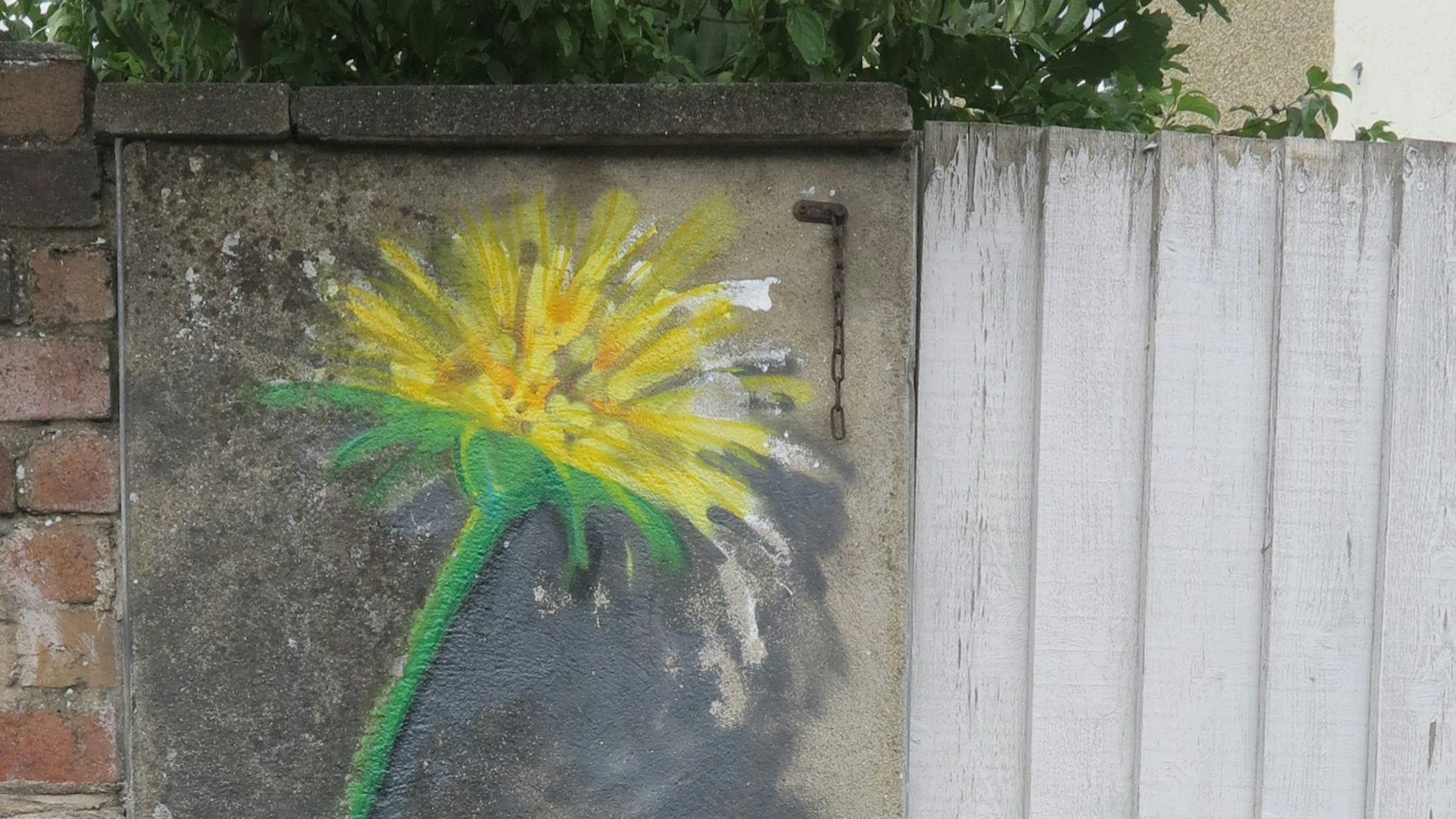 Dandelion grafiti